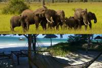 Tansania & Sansibar - Safari im Mikumi Nationalpark & Strand auf der Insel